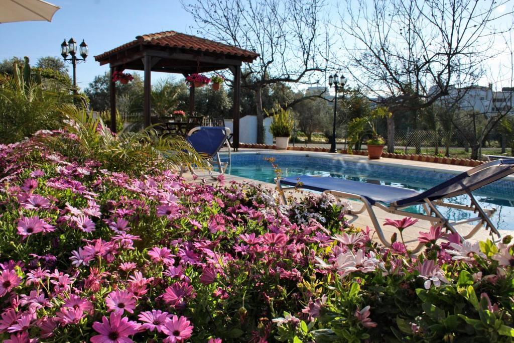 Villa Paradise Paphos Cameră foto